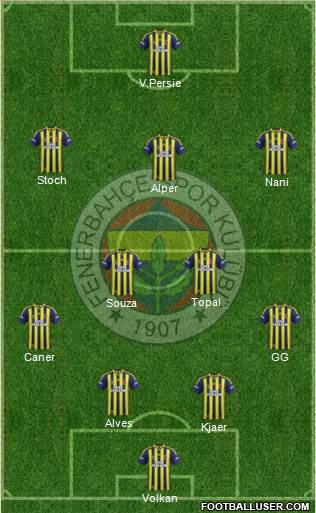 Fenerbahçe SK Formation 2015