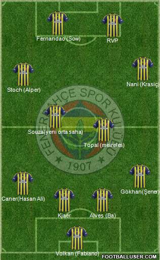 Fenerbahçe SK Formation 2015