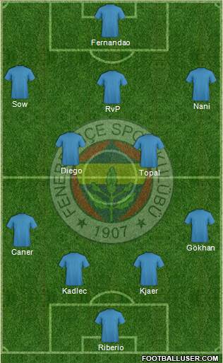 Fenerbahçe SK Formation 2015