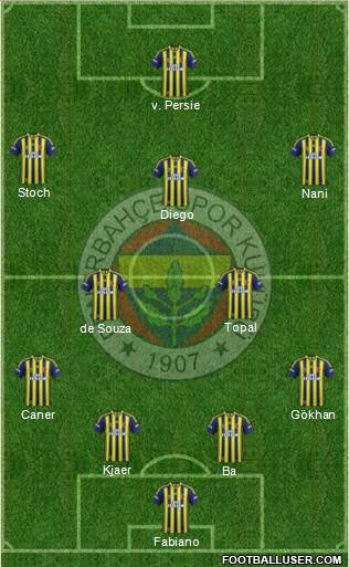 Fenerbahçe SK Formation 2015