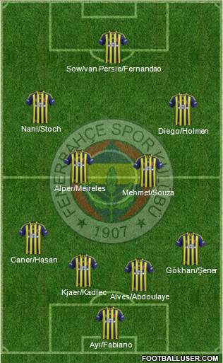 Fenerbahçe SK Formation 2015