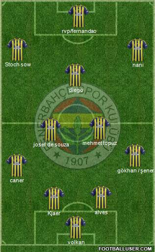 Fenerbahçe SK Formation 2015