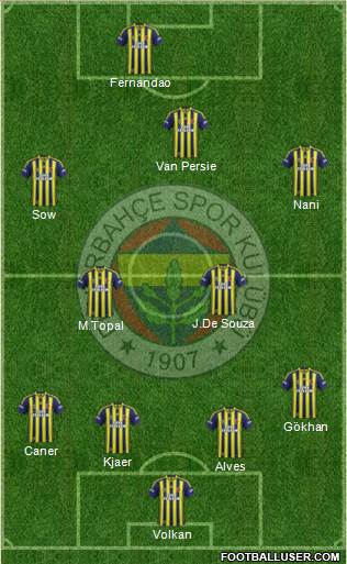 Fenerbahçe SK Formation 2015