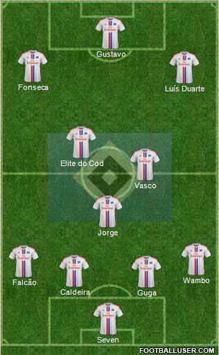 Hamburger SV Formation 2015