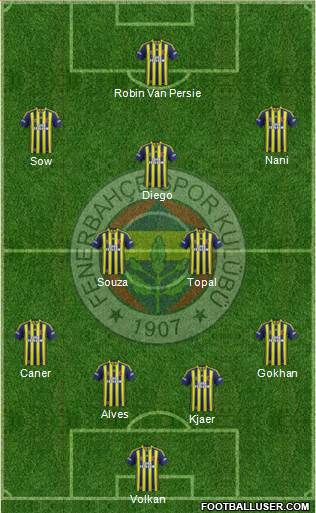 Fenerbahçe SK Formation 2015
