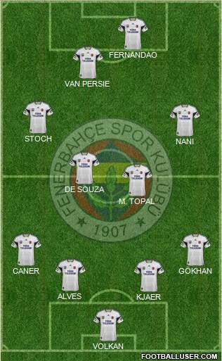 Fenerbahçe SK Formation 2015