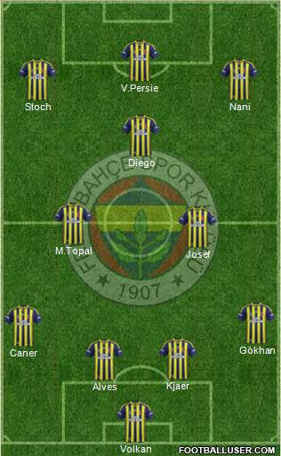 Fenerbahçe SK Formation 2015