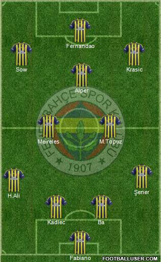 Fenerbahçe SK Formation 2015