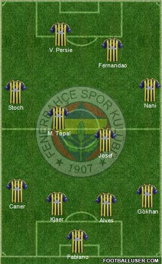 Fenerbahçe SK Formation 2015