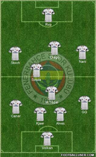 Fenerbahçe SK Formation 2015