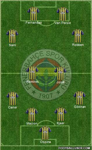 Fenerbahçe SK Formation 2015