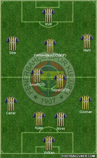 Fenerbahçe SK Formation 2015