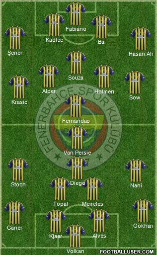 Fenerbahçe SK Formation 2015