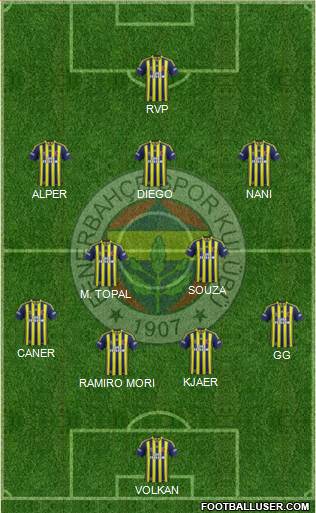 Fenerbahçe SK Formation 2015