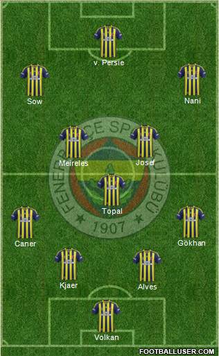 Fenerbahçe SK Formation 2015