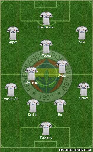 Fenerbahçe SK Formation 2015
