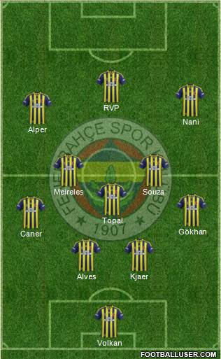 Fenerbahçe SK Formation 2015