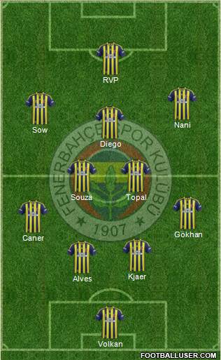 Fenerbahçe SK Formation 2015