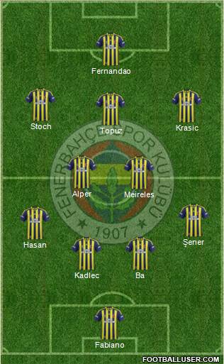 Fenerbahçe SK Formation 2015