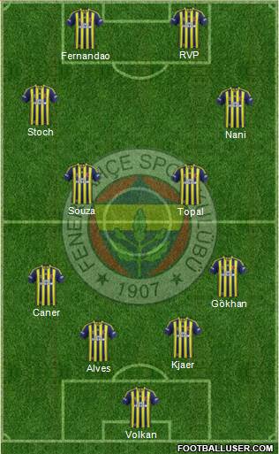 Fenerbahçe SK Formation 2015