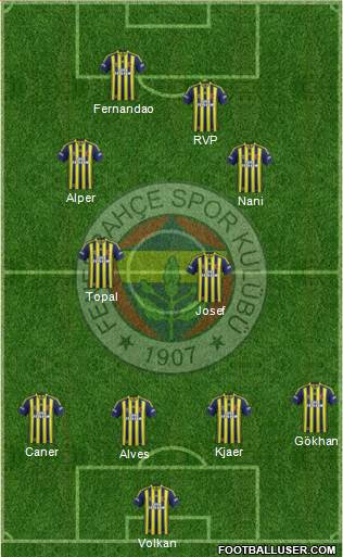 Fenerbahçe SK Formation 2015