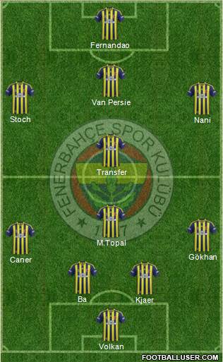 Fenerbahçe SK Formation 2015