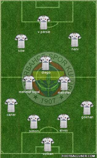 Fenerbahçe SK Formation 2015
