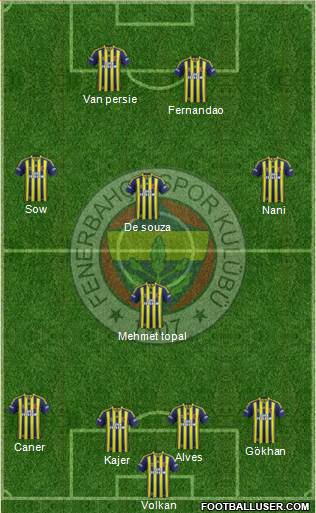 Fenerbahçe SK Formation 2015