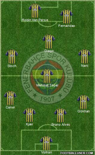Fenerbahçe SK Formation 2015