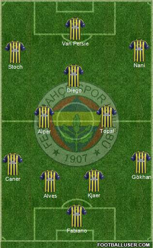 Fenerbahçe SK Formation 2015