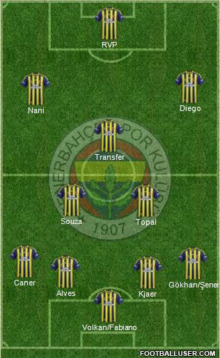 Fenerbahçe SK Formation 2015
