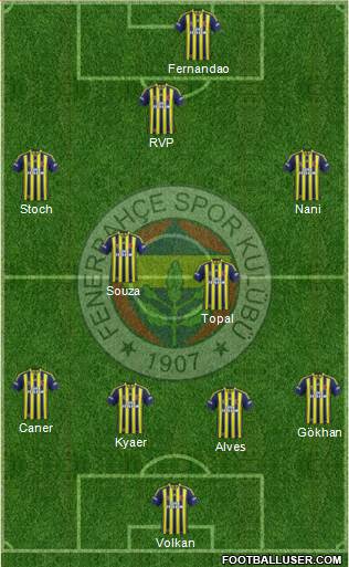 Fenerbahçe SK Formation 2015