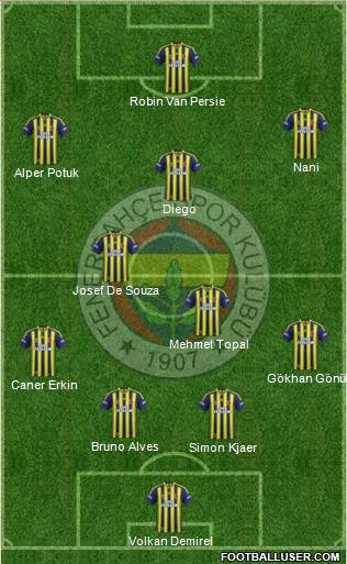 Fenerbahçe SK Formation 2015