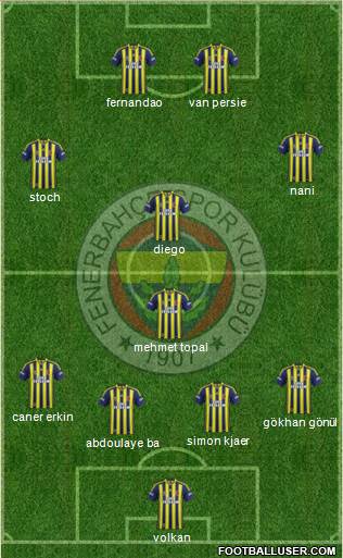 Fenerbahçe SK Formation 2015