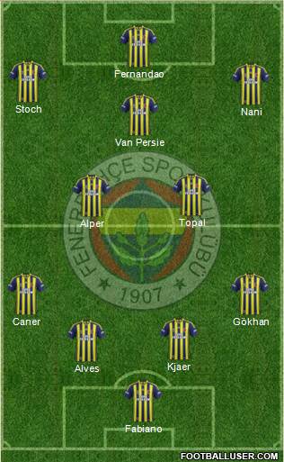 Fenerbahçe SK Formation 2015