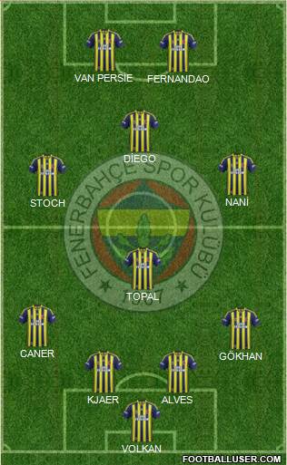 Fenerbahçe SK Formation 2015