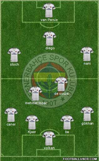 Fenerbahçe SK Formation 2015