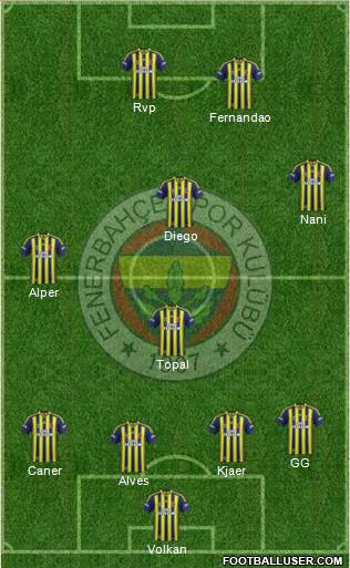 Fenerbahçe SK Formation 2015