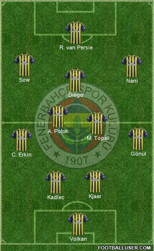 Fenerbahçe SK Formation 2015