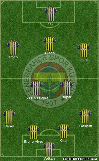 Fenerbahçe SK Formation 2015