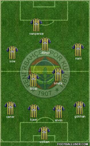 Fenerbahçe SK Formation 2015