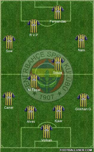Fenerbahçe SK Formation 2015