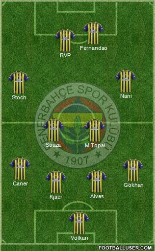 Fenerbahçe SK Formation 2015