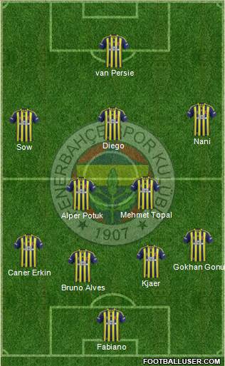 Fenerbahçe SK Formation 2015