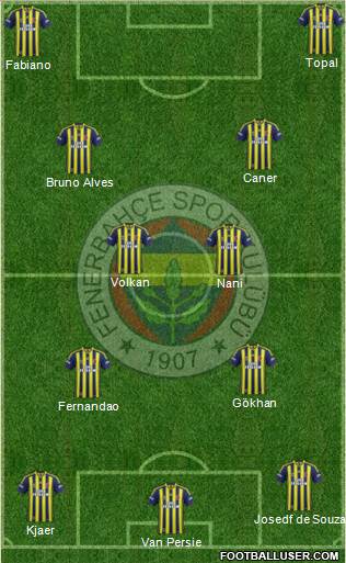 Fenerbahçe SK Formation 2015