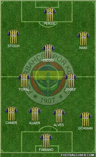 Fenerbahçe SK Formation 2015