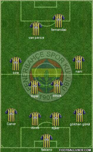 Fenerbahçe SK Formation 2015