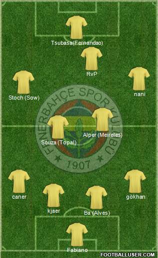 Fenerbahçe SK Formation 2015