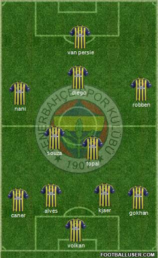 Fenerbahçe SK Formation 2015