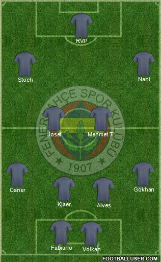 Fenerbahçe SK Formation 2015